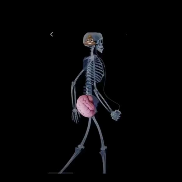 啥也没有就是有钱