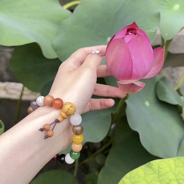 三宝🧀子愉🤶