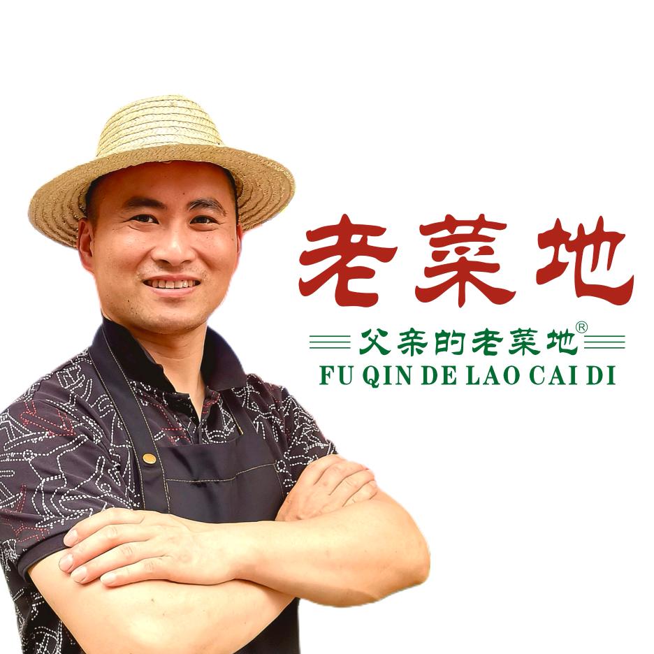 父亲的老菜地官方账号