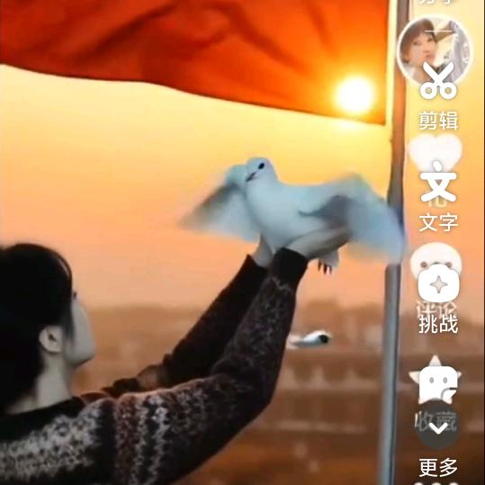 Hanxiao