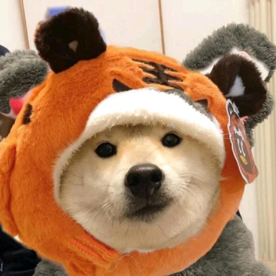 纸老虎
