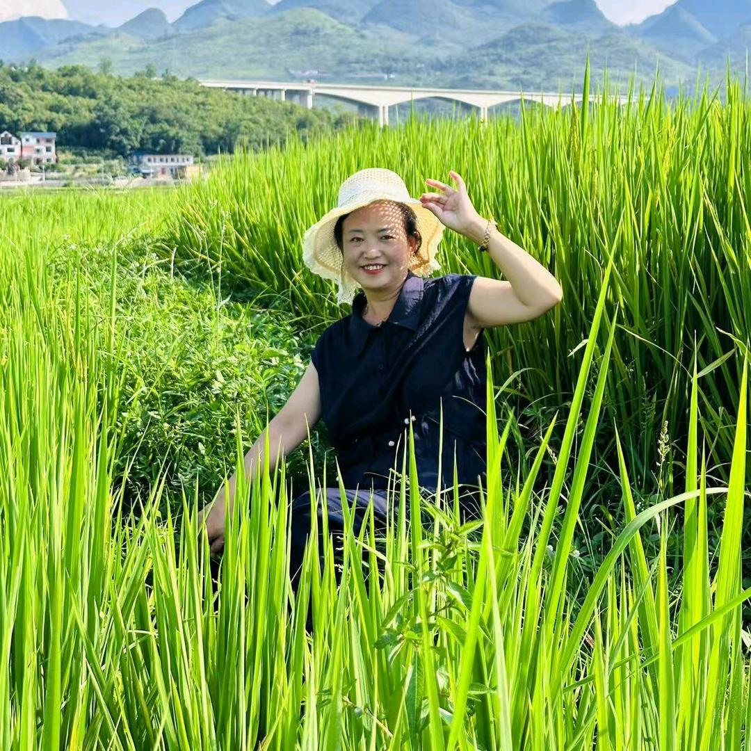 舒心若水