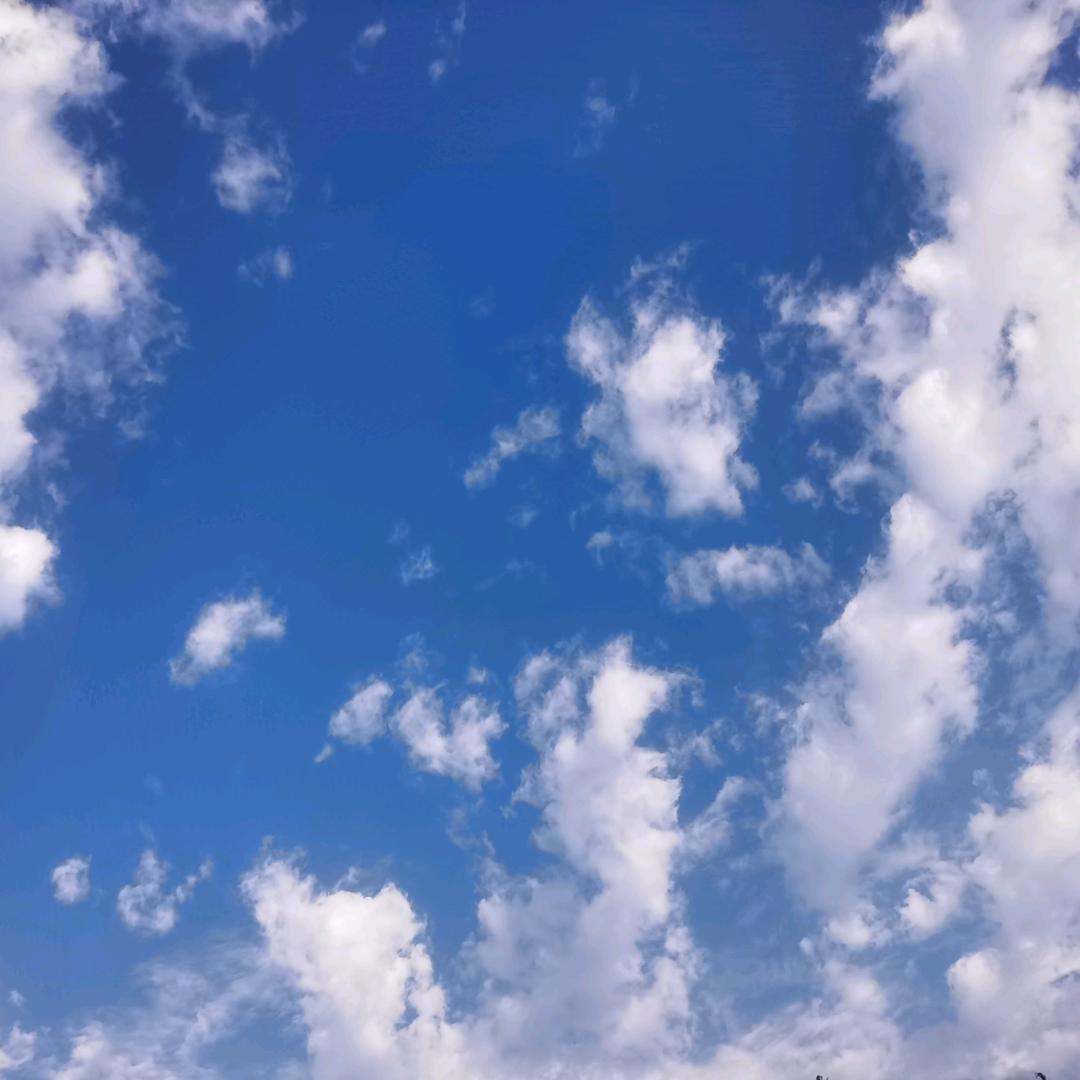 七凌后的老男人