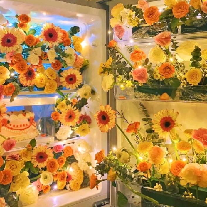 菜菜（不上班版）