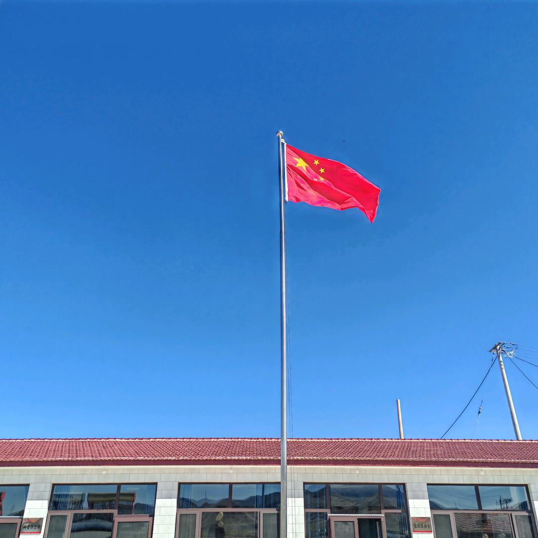 仰望星空的波波熊