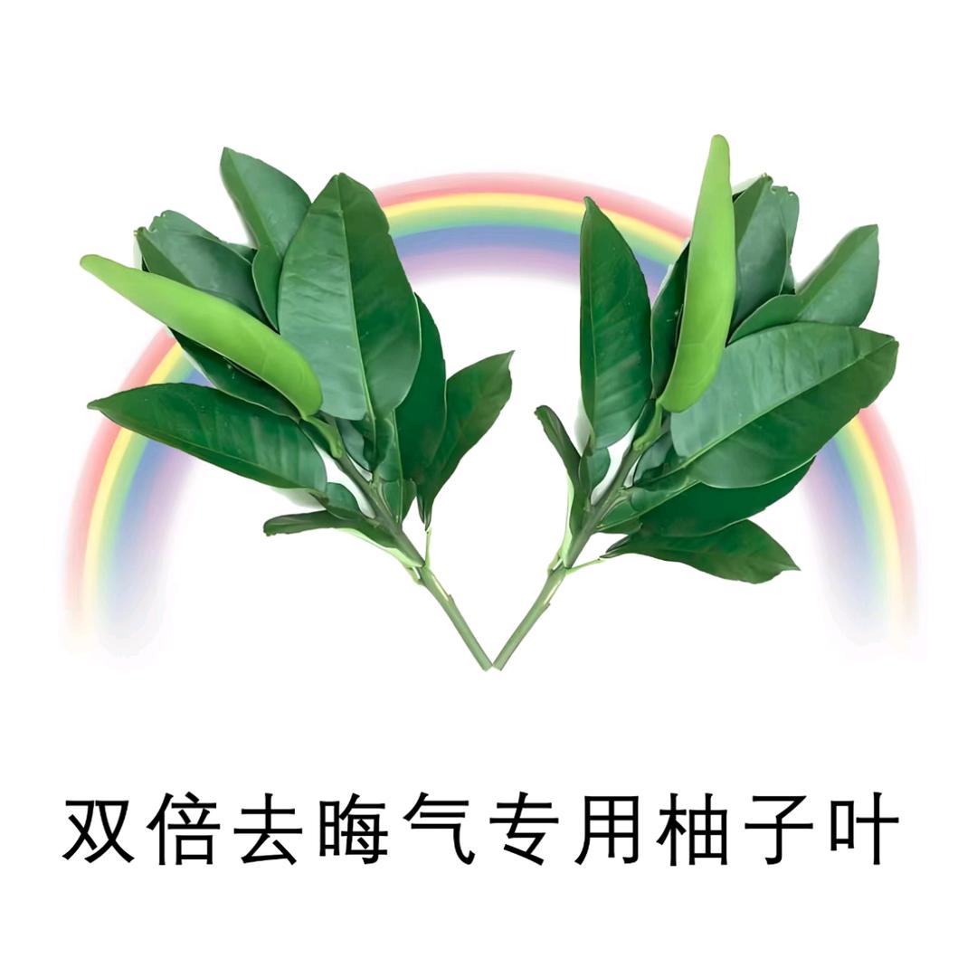 奈野（锦鲤附体版）