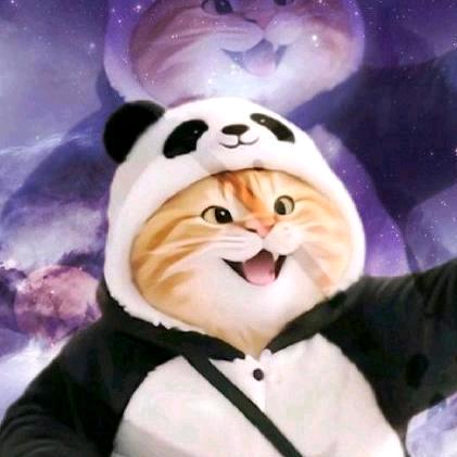 ✨ 钊影集 💫