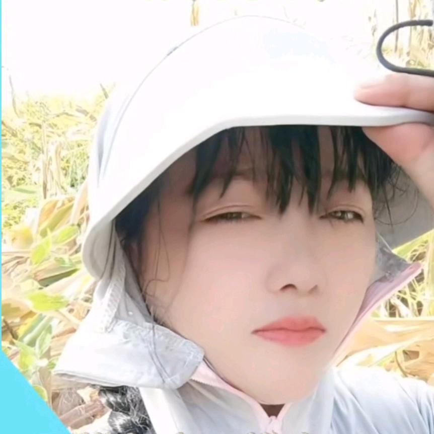 王仕燕秋天的燕子有赞必回