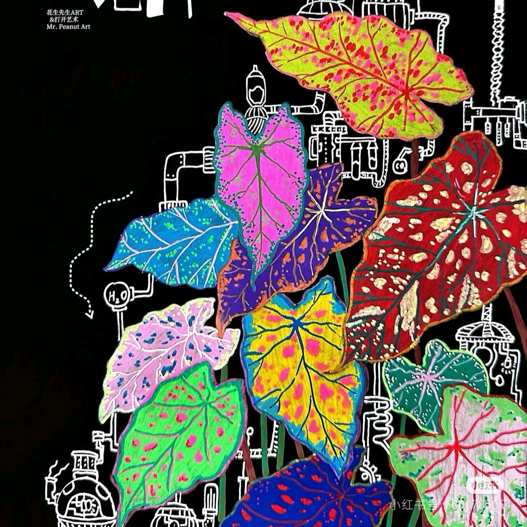 开心✧٩(ˊωˋ*)و✧