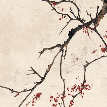 红颜师姐