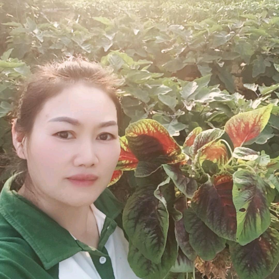 艾不释手