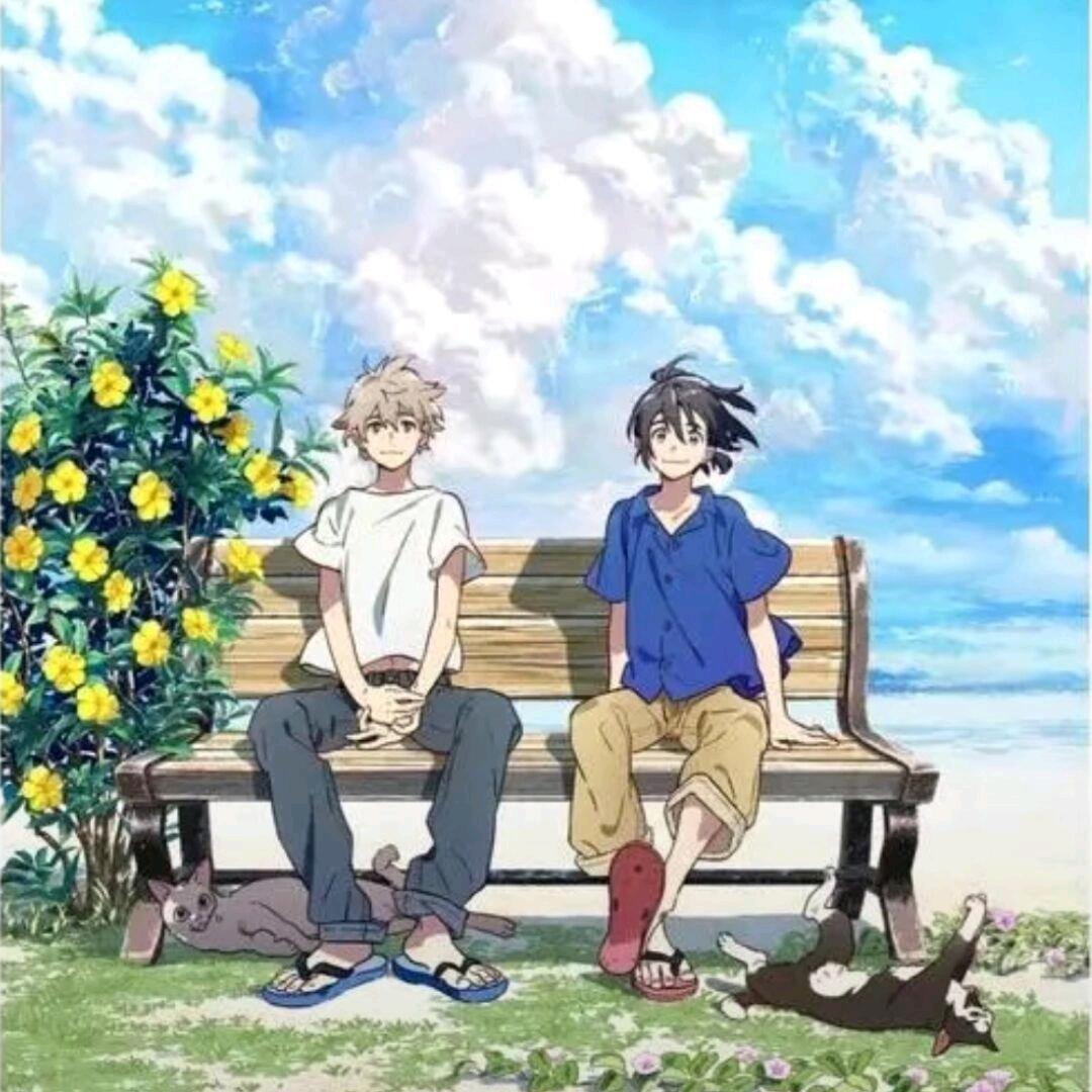 头发快快长