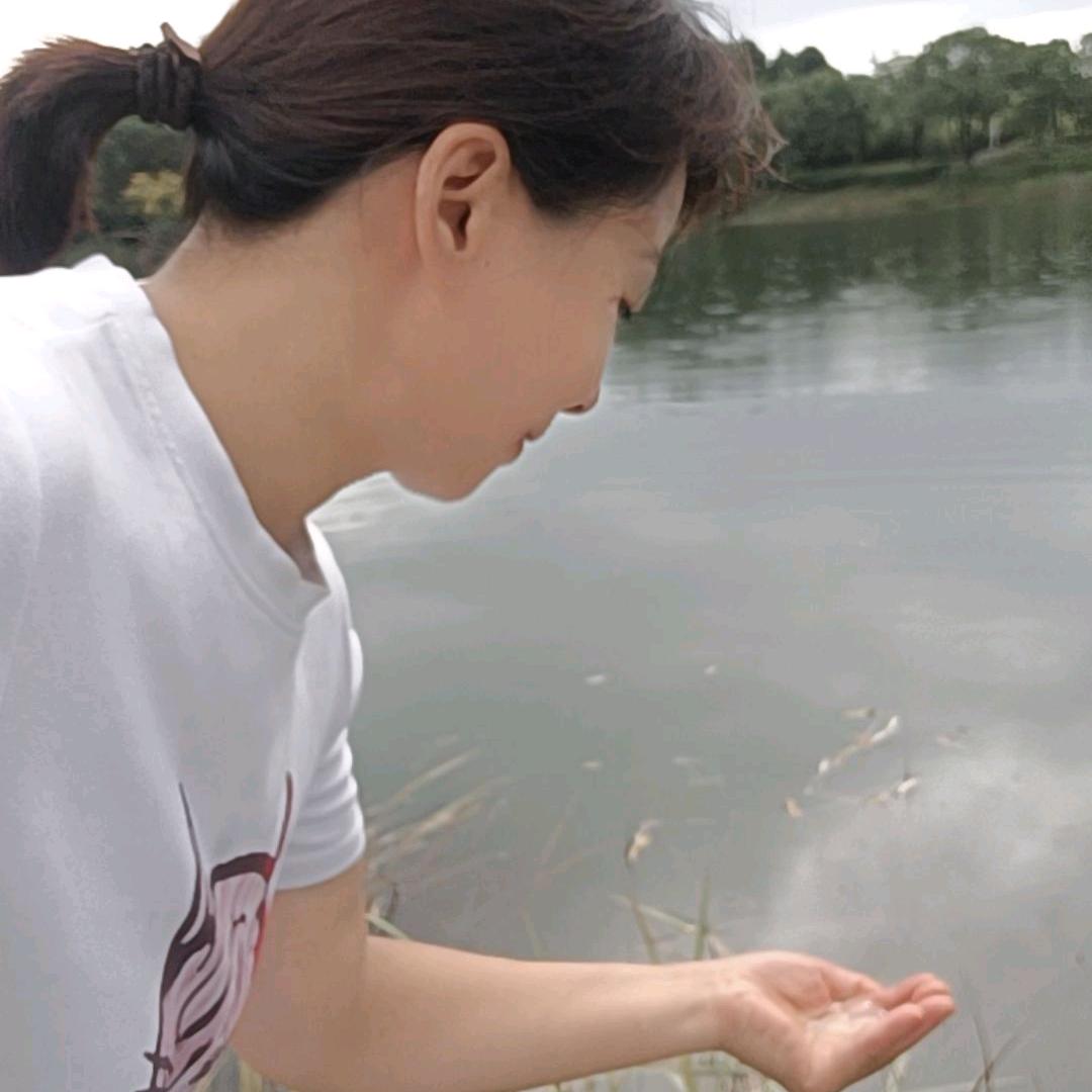 杨芳
