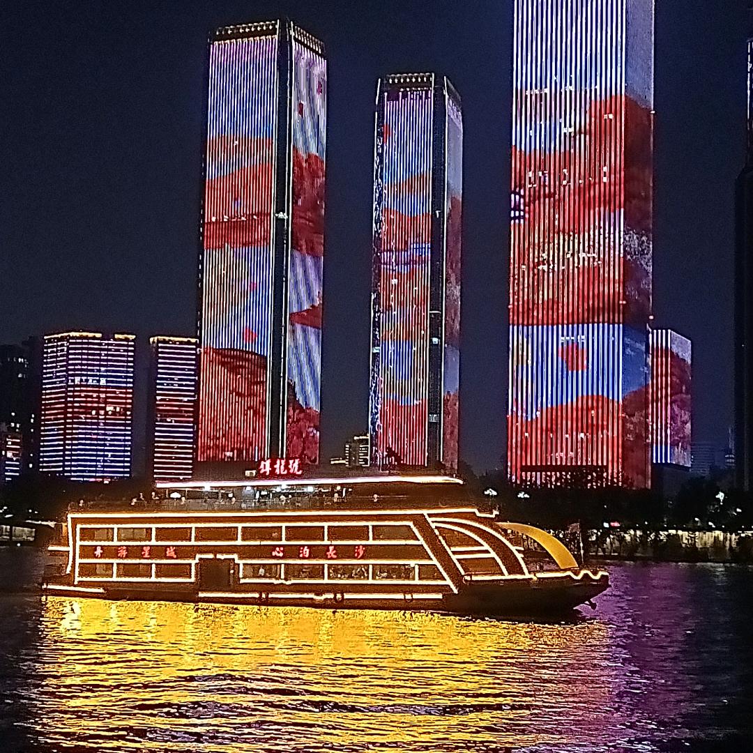 飞翔的心