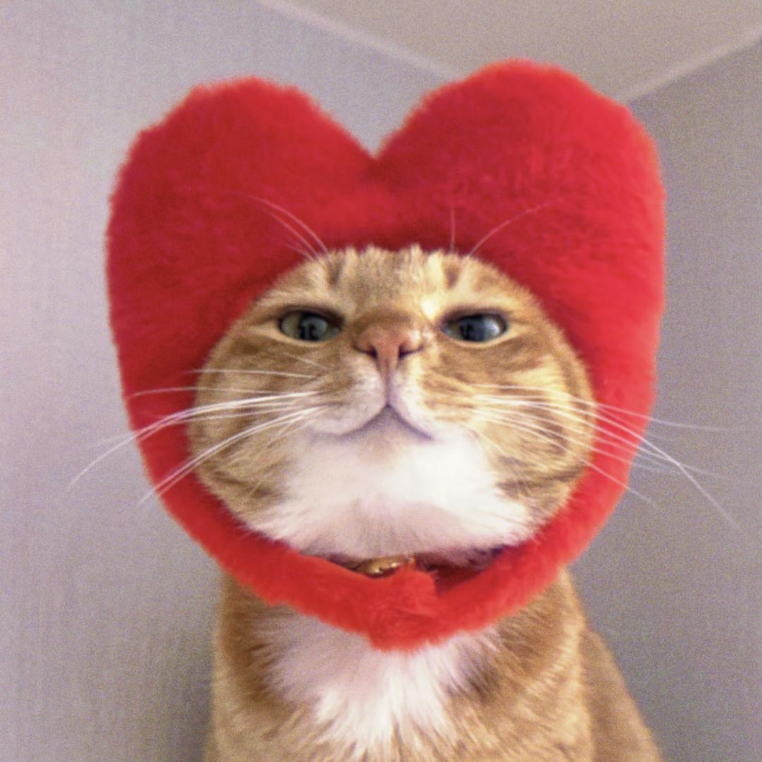 莉莉莉迪亚lydia