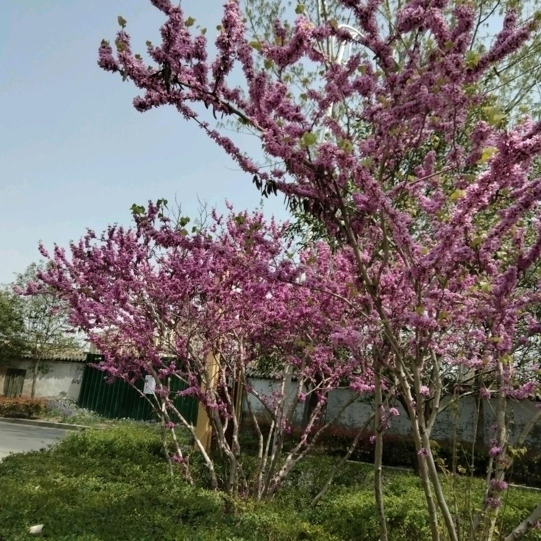 风里来，雨里去