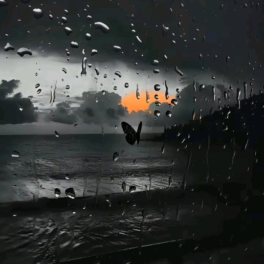 @🕊️❤️時間🌿治遇🌸一切👄🕊