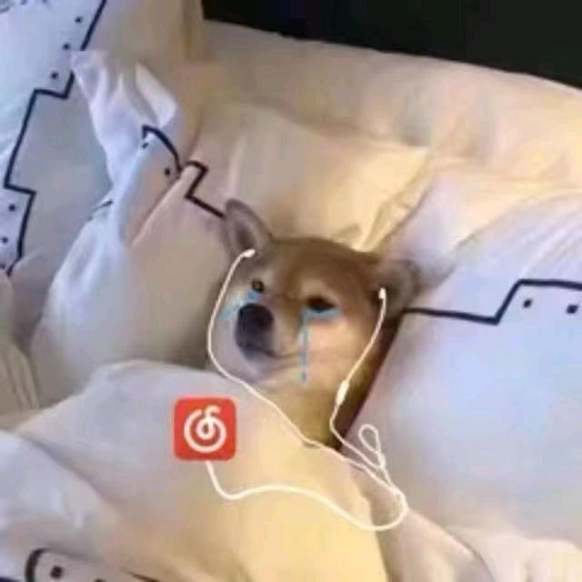 一缕阳光