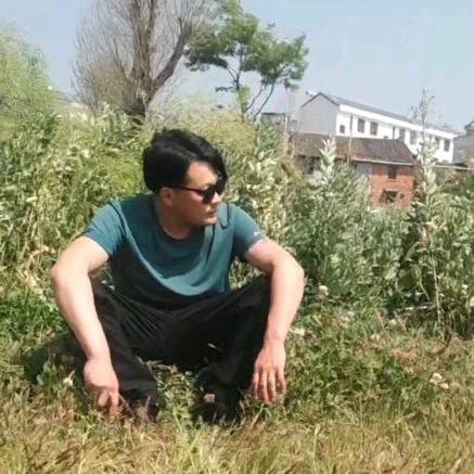 强 子  ⁹ ⁶ ⁸