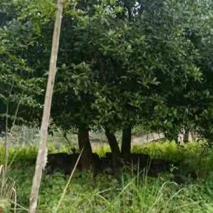 拥抱太阳 ૮₍ɵ̷﹏ɵ̷̥̥᷅₎ა