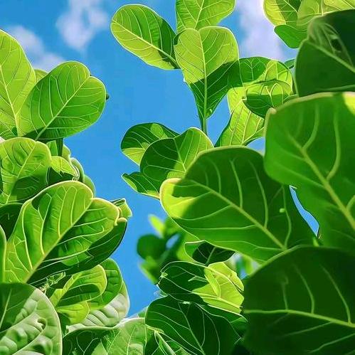 🦋ꦿ໊余生᭄🕊随心᭄ꦿᩚ٭