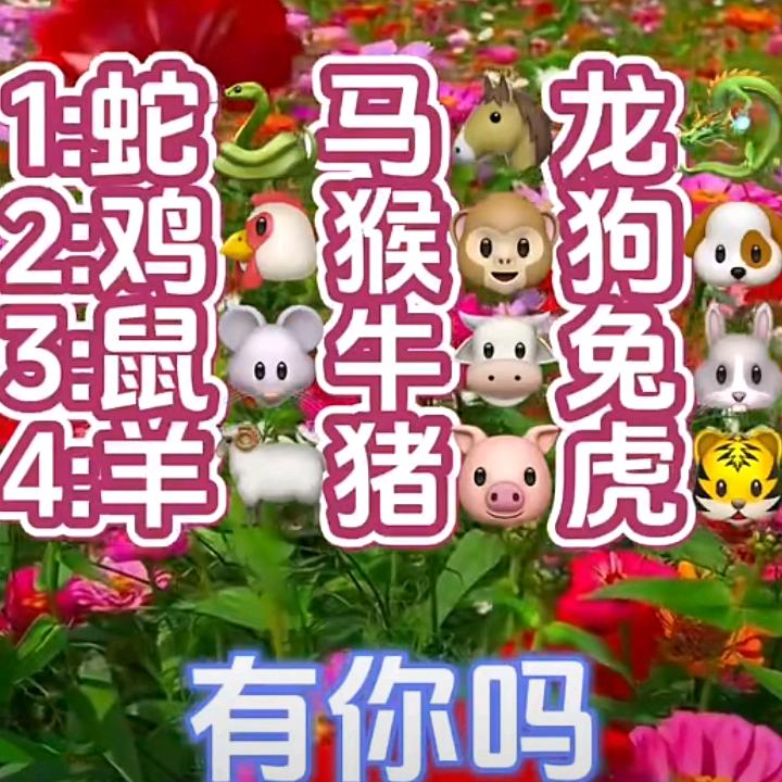 福星高照