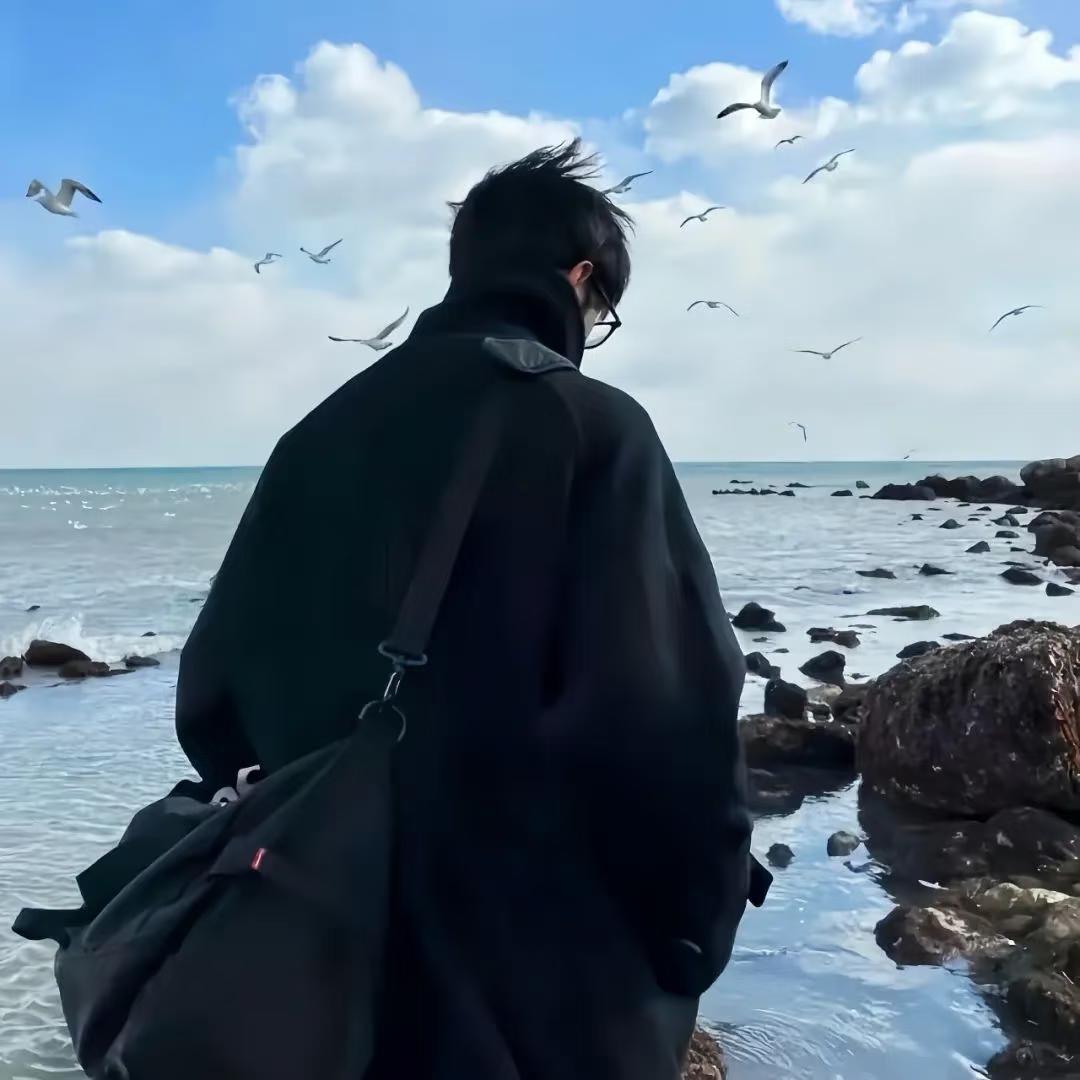 苦茶live