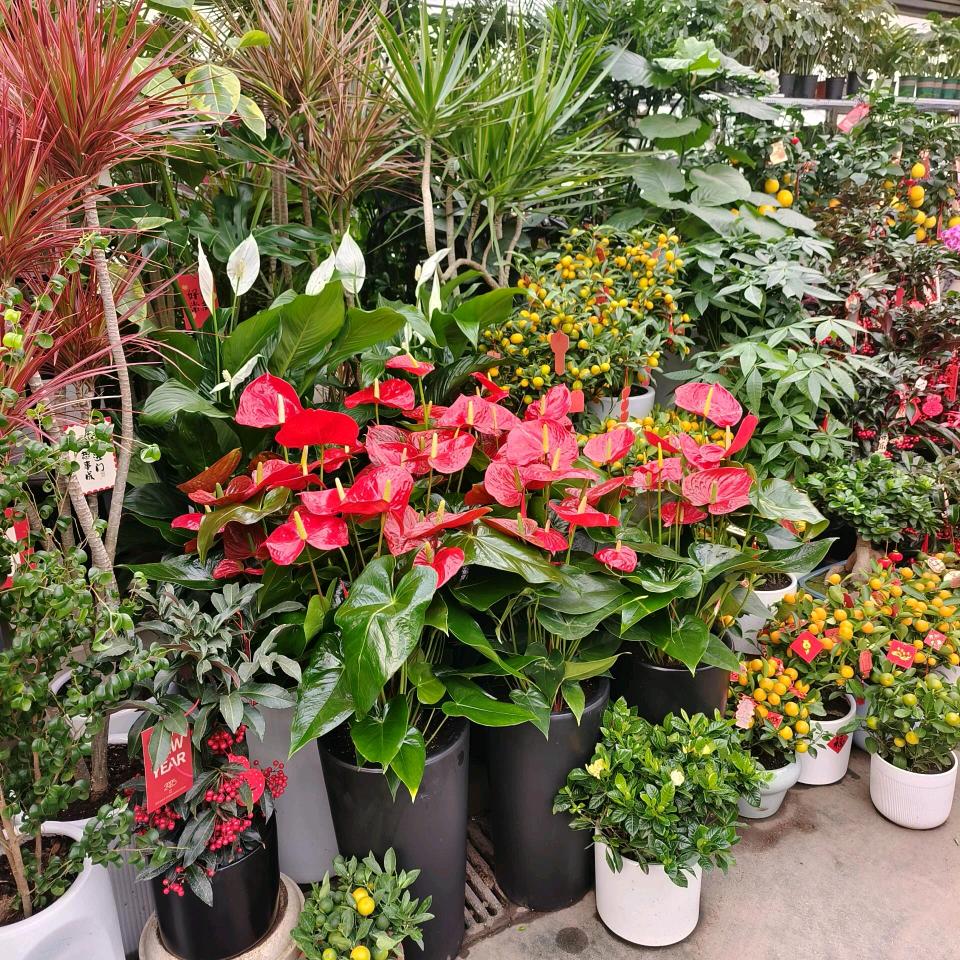 小花农