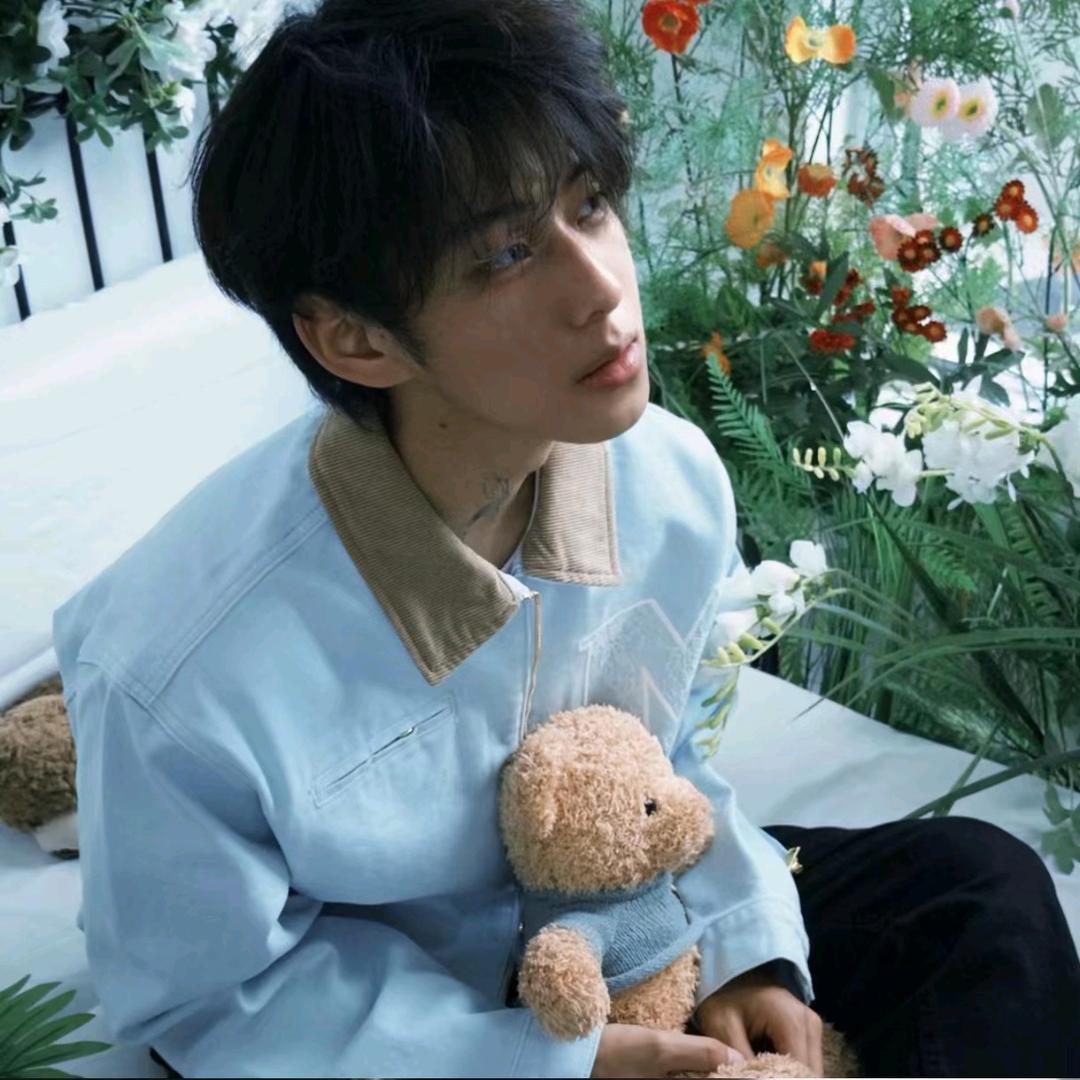 竹枫情.