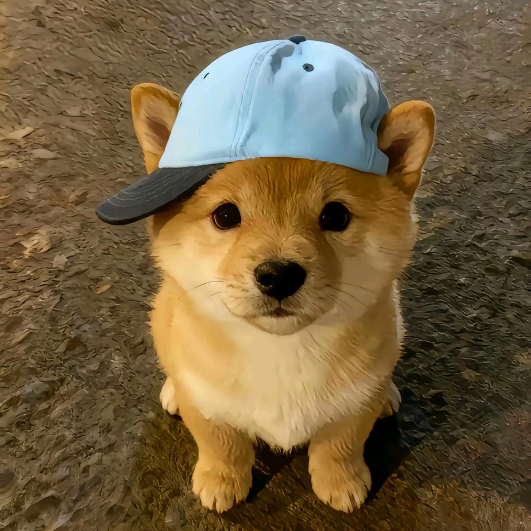 不帅的帅哥