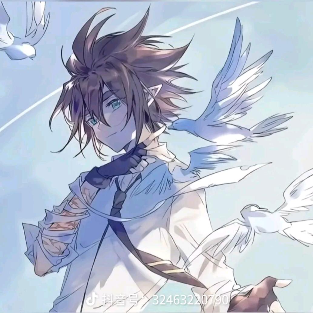 雷安99（cn：九染）