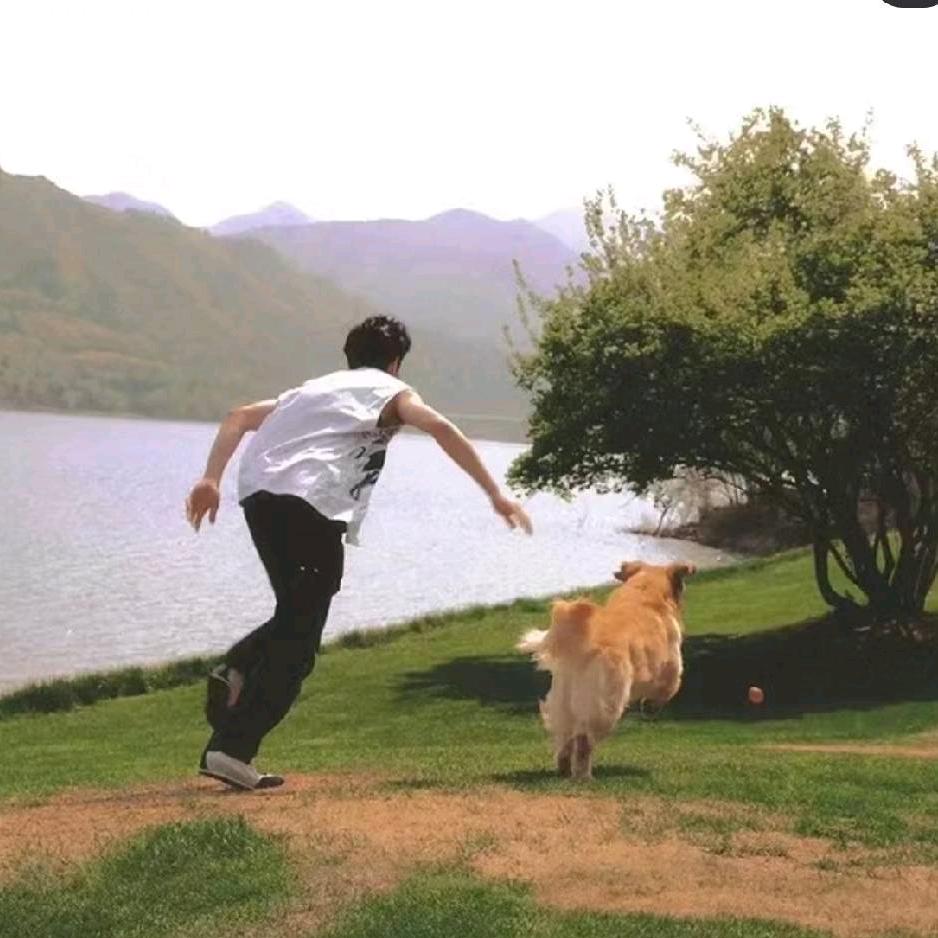 可乐咋这么好看