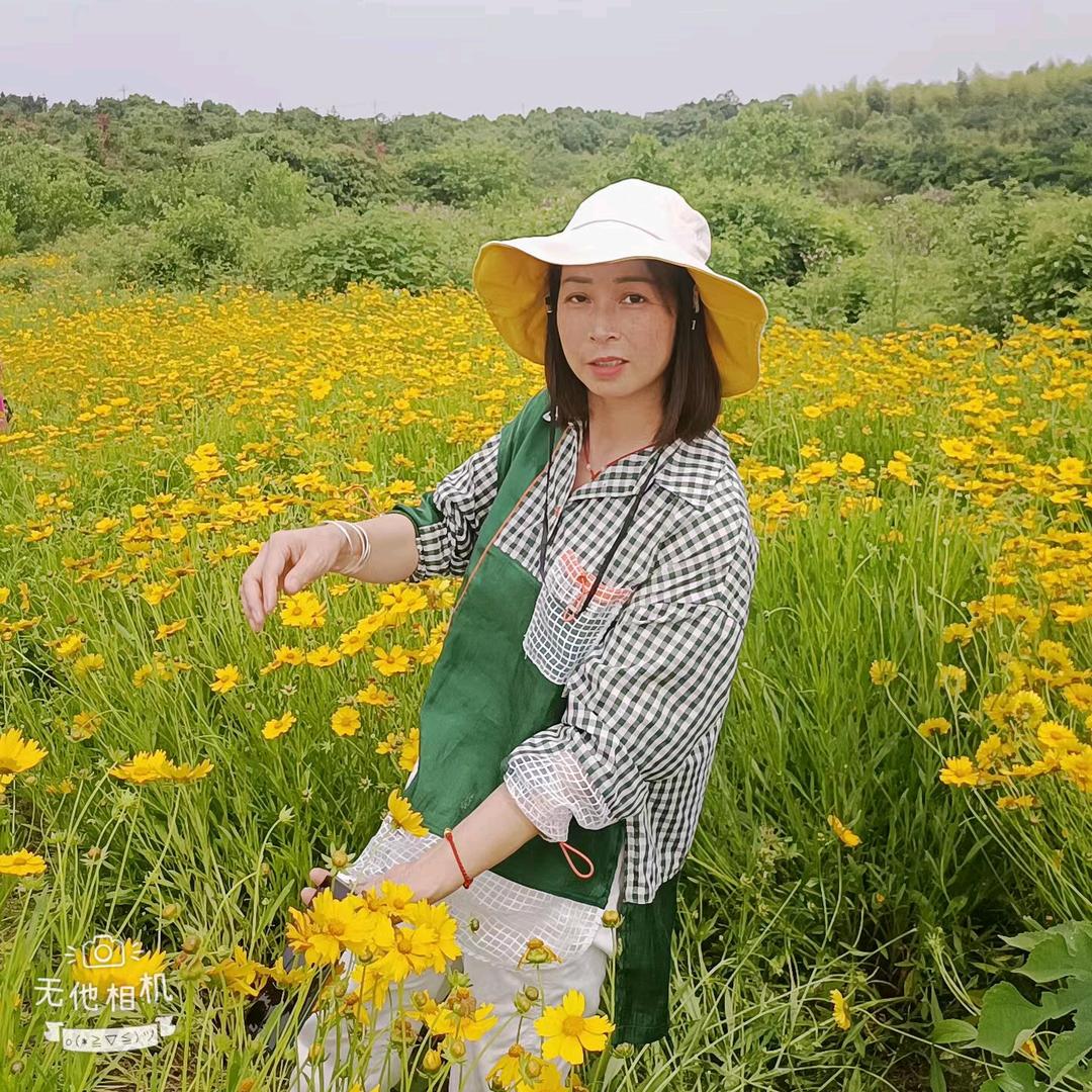 🌹吉星高 赵❤️