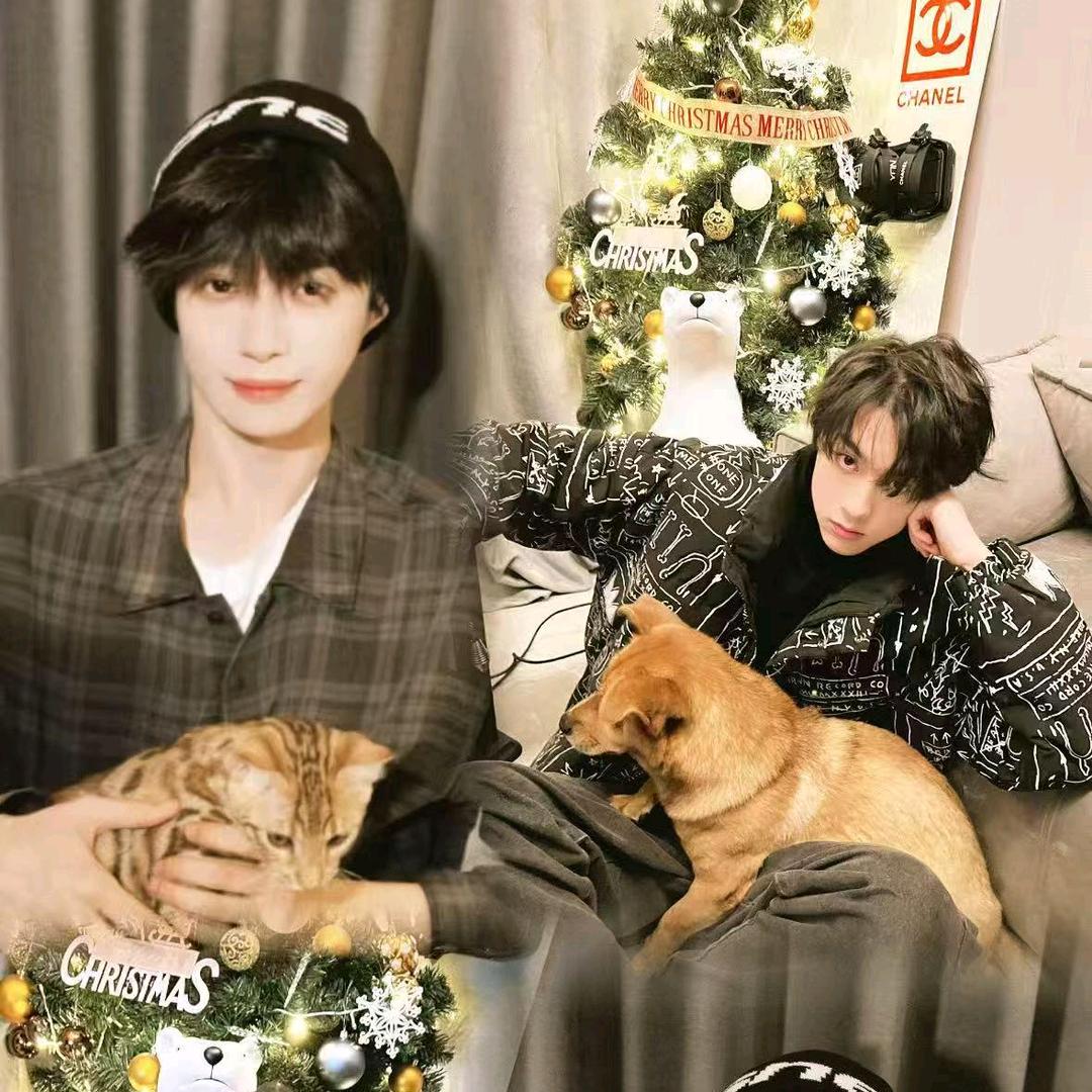 我磕的CP是真的