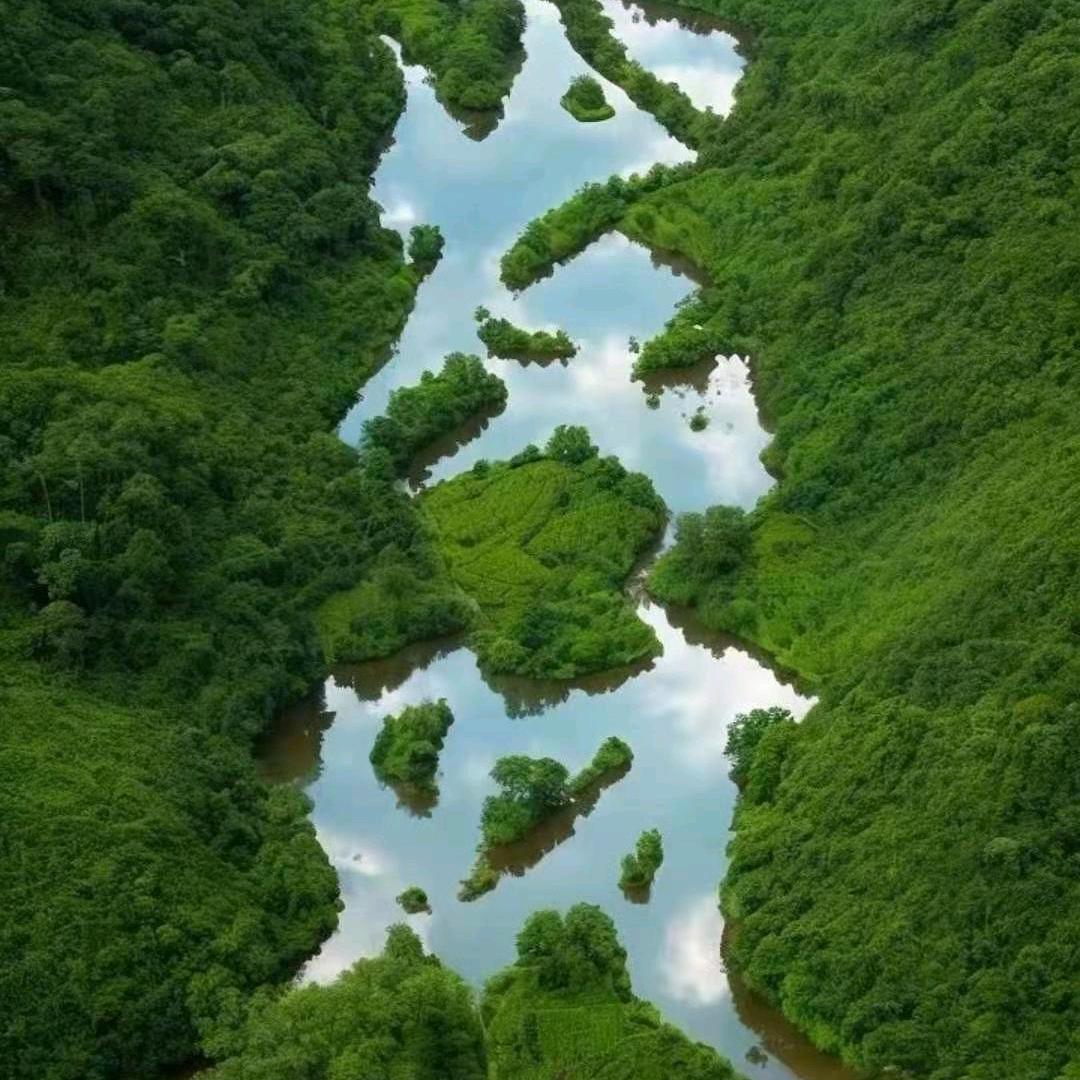 丁老师