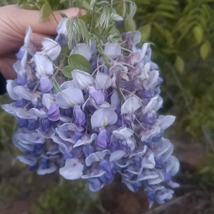 湘宴  沁园酒店~宏