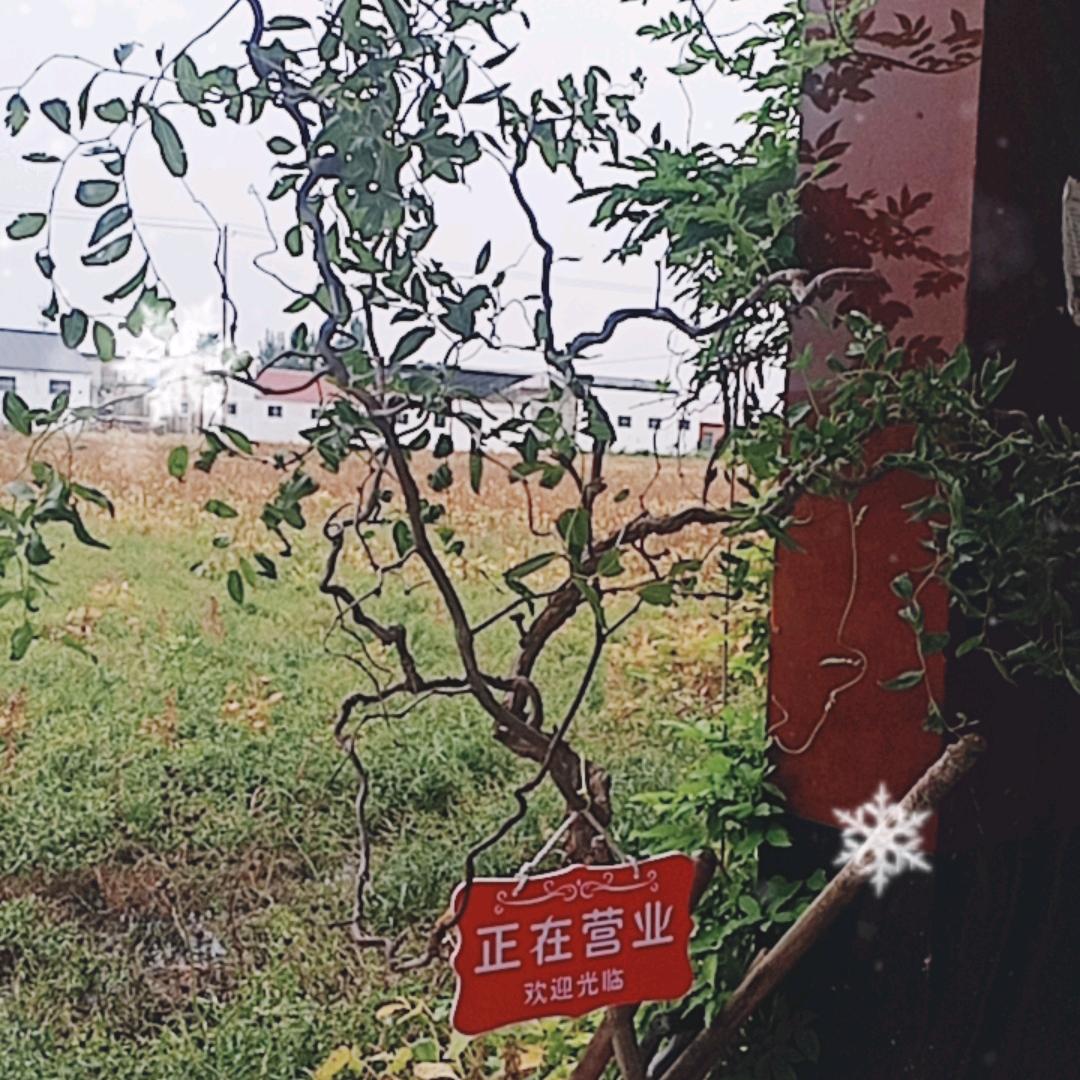 谢家大院