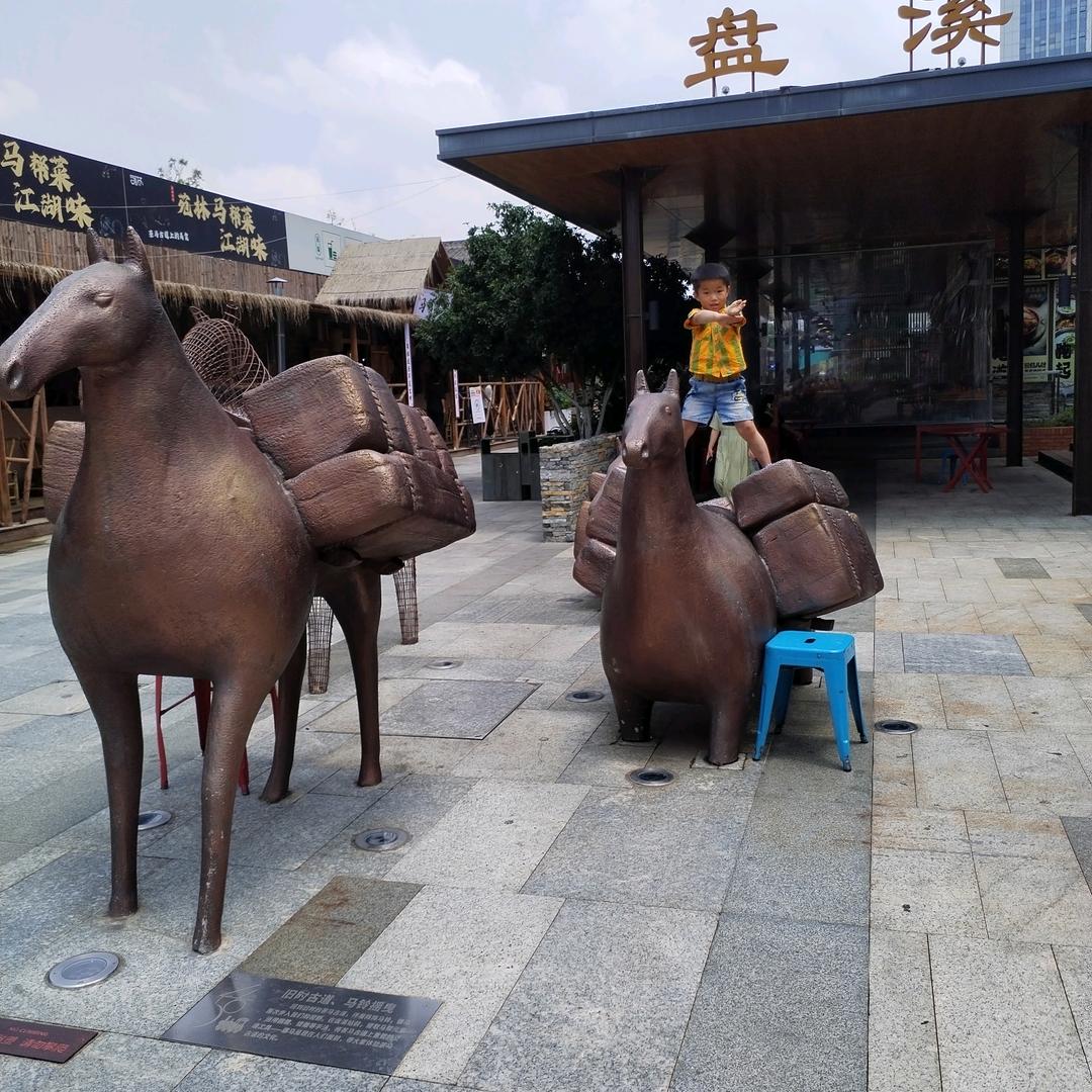 随风起！随风落！
