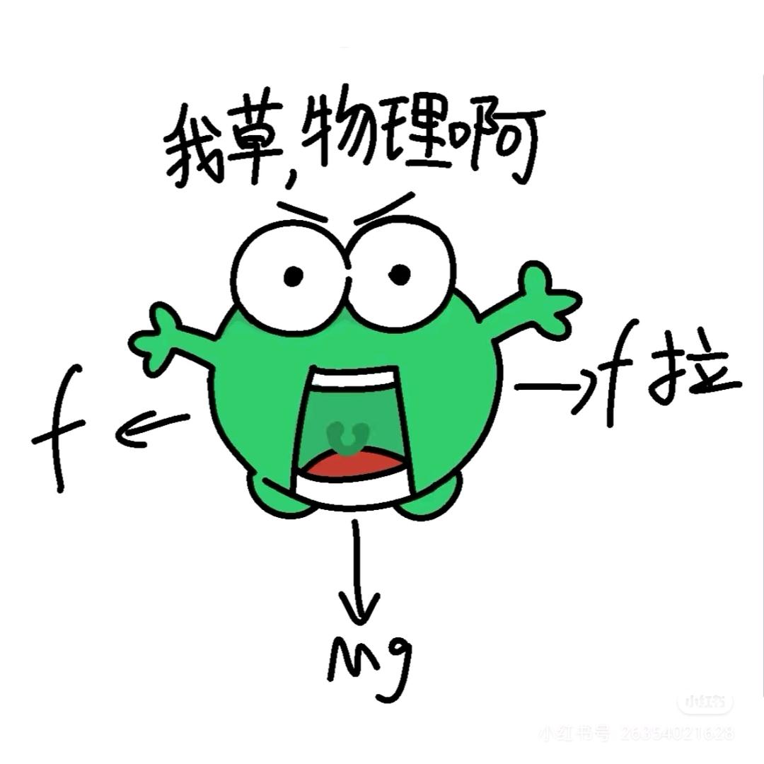 当个秃子到处发光💡