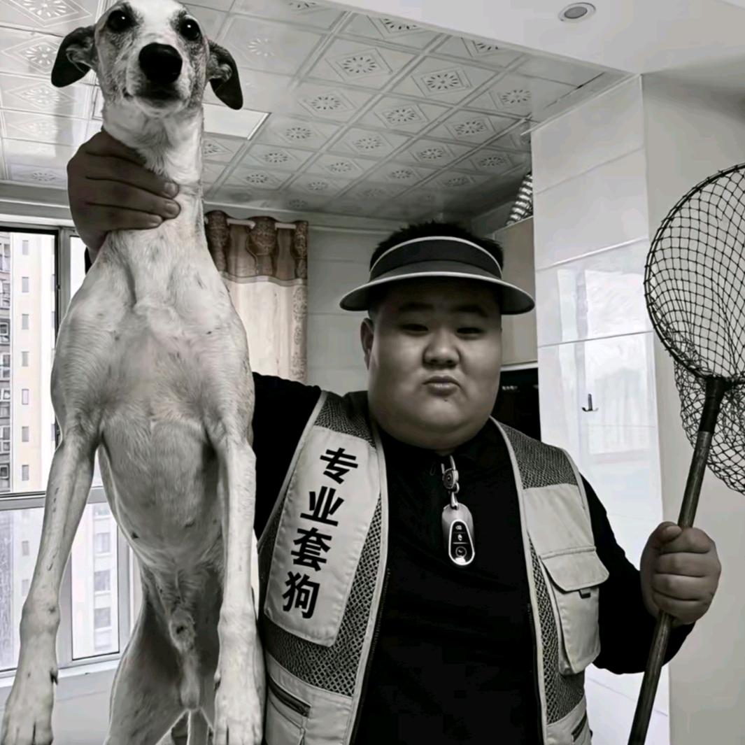 AAAAA专业套狗洋师傅（仅限东北）