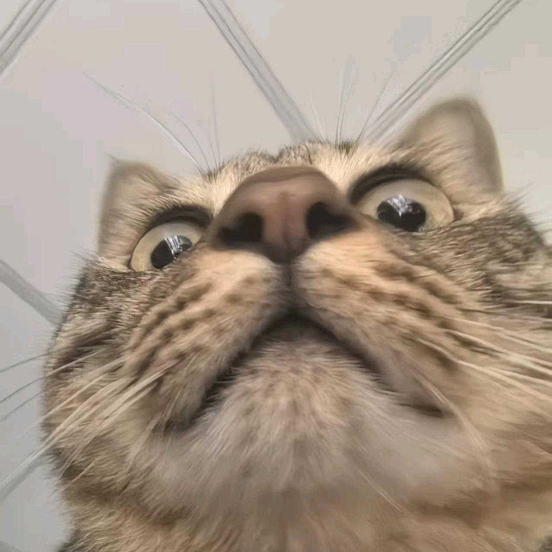 下次看海约在哪
