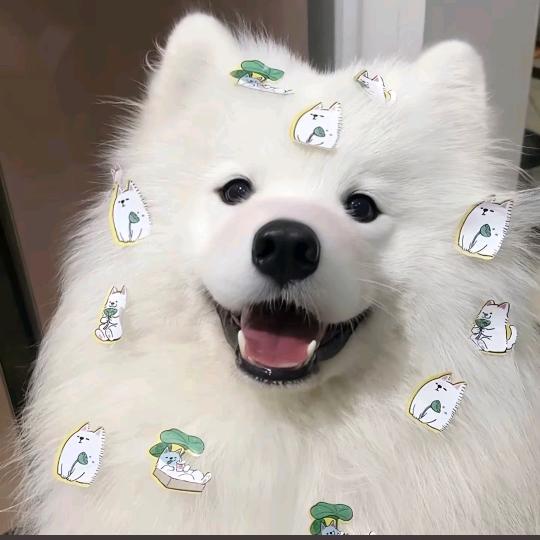 牛角包