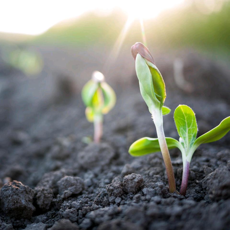 玉ヽ(｡◕o◕｡)ﾉ.