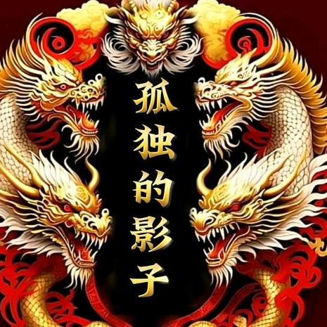 💞孤独的影子💞
