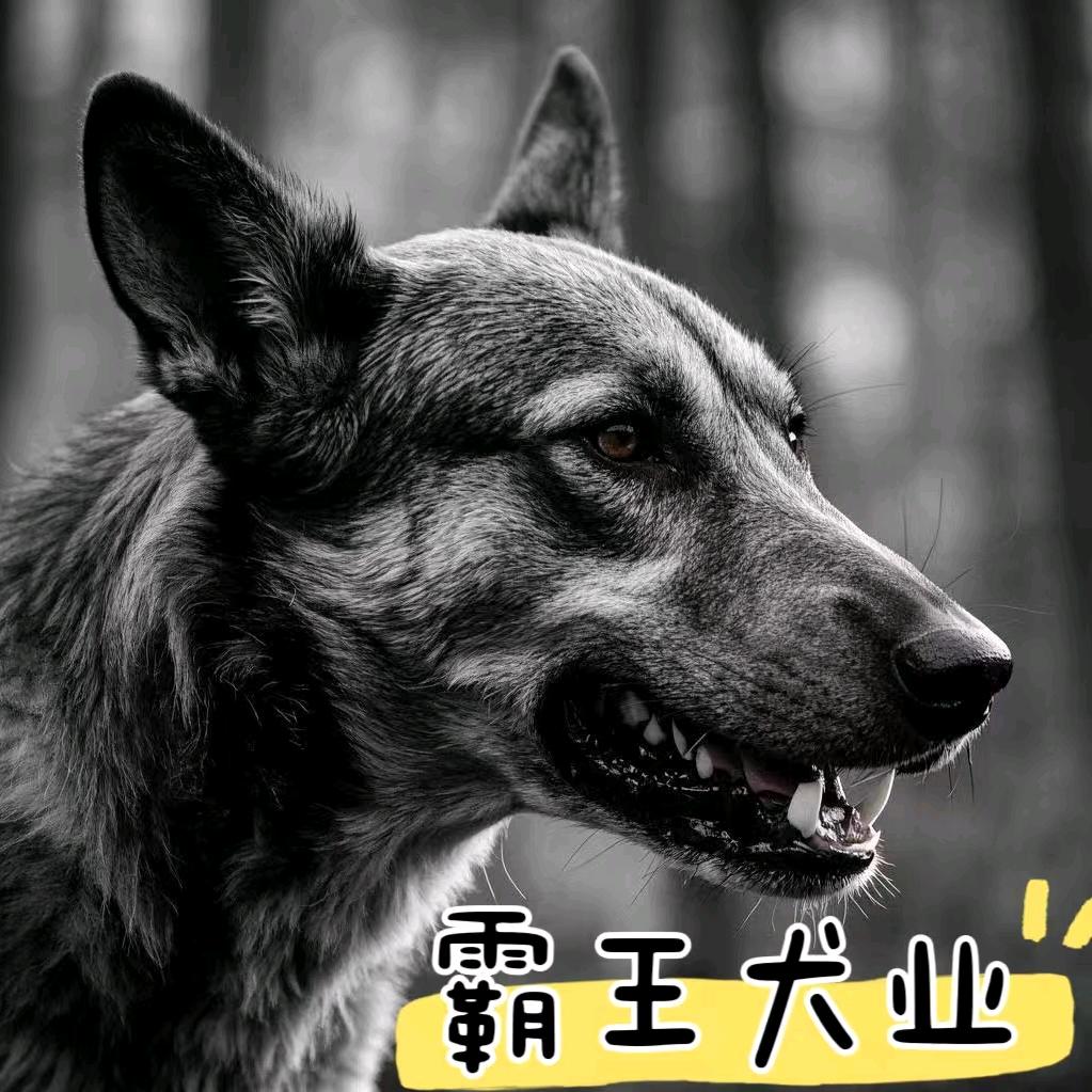 霸王犬业