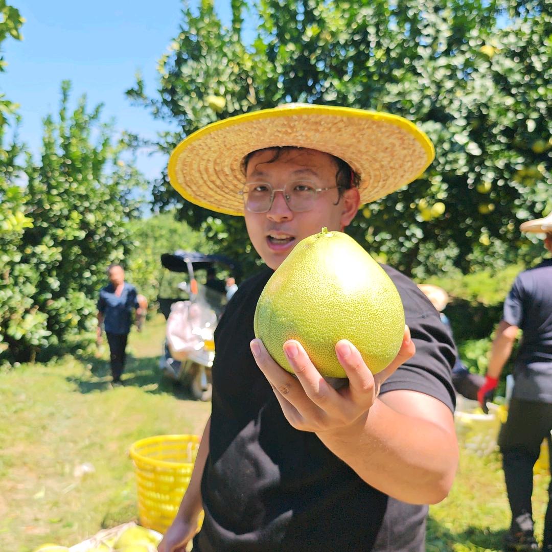 D家水果溯源专场