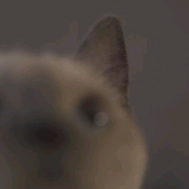 你过的好不好