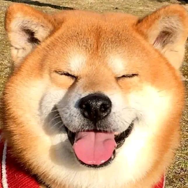 是帅哥啊～
