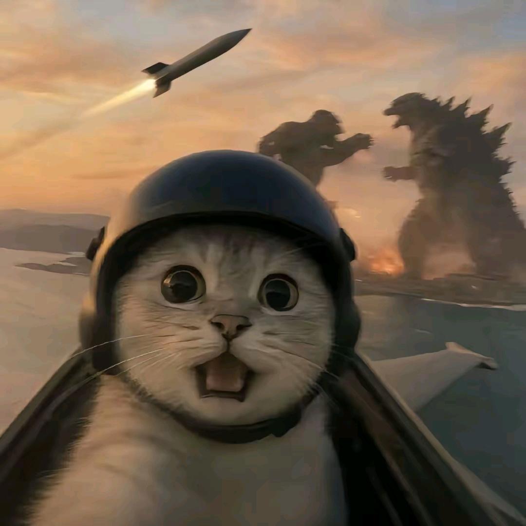 今晚想去德令哈