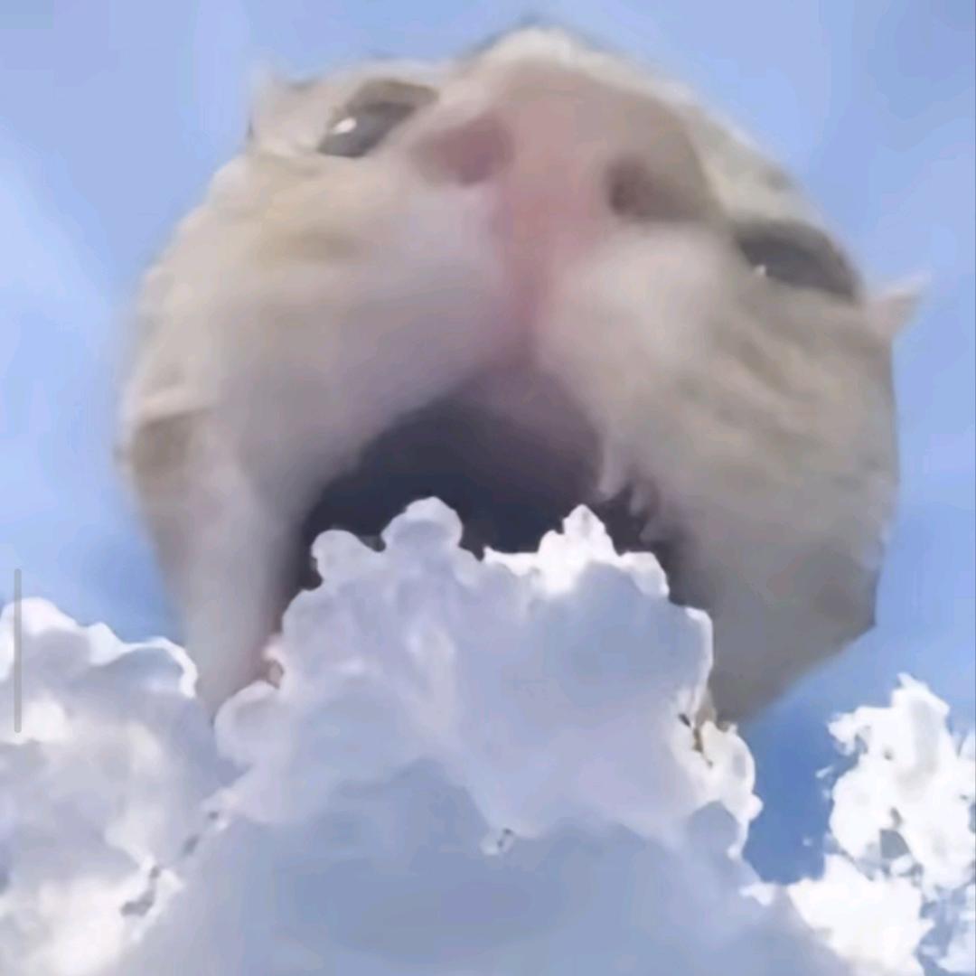 事与心随